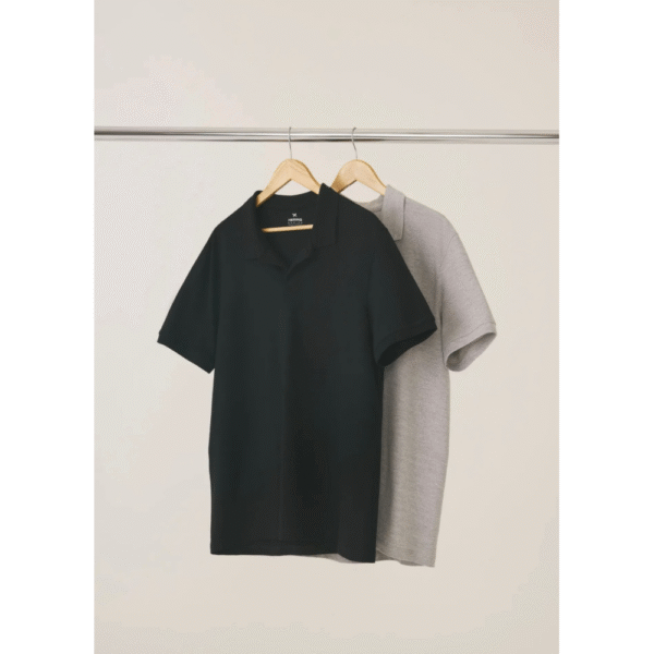 Kit Com 2 Camisas Polo Básicas Masculinas Em Piquet Hering